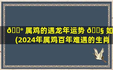 💮 属鸡的遇龙年运势 🐧 如何(2024年属鸡百年难遇的生肖)